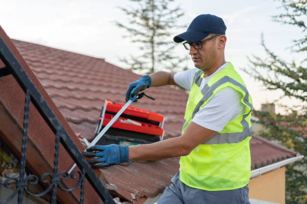 Best Basement Insulation  in Amerin Nyon, CA